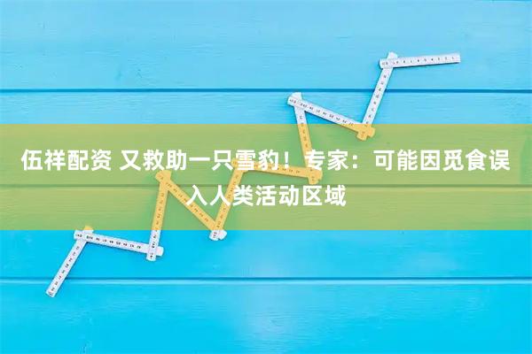 伍祥配资 又救助一只雪豹！专家：可能因觅食误入人类活动区域